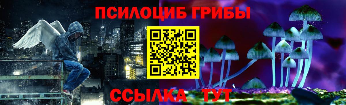 Галлюциногенные грибы Psilocybine cubensis Еманжелинск